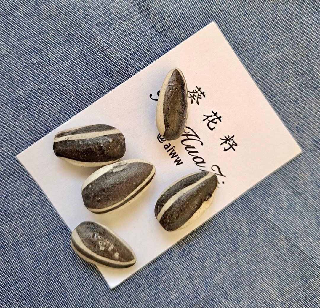 中国で有名な芸術家艾未未(Ai WeiWei)の芸術品——陶器のひまわりの種