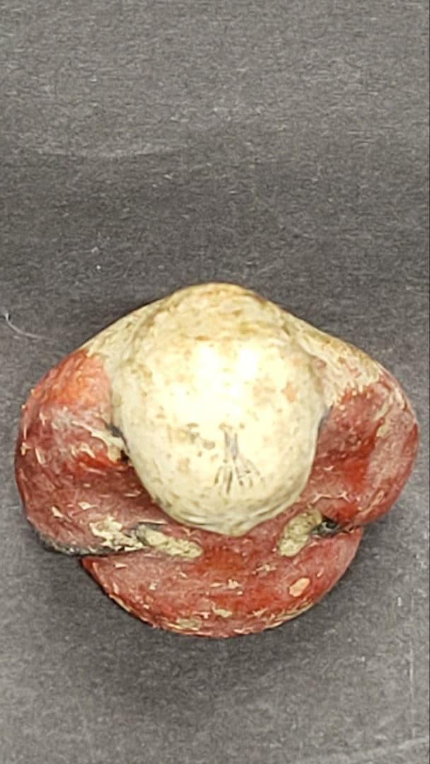 幕末～明治時代 堤人形かわや神 厠神 宮城県仙台 郷土人形 土