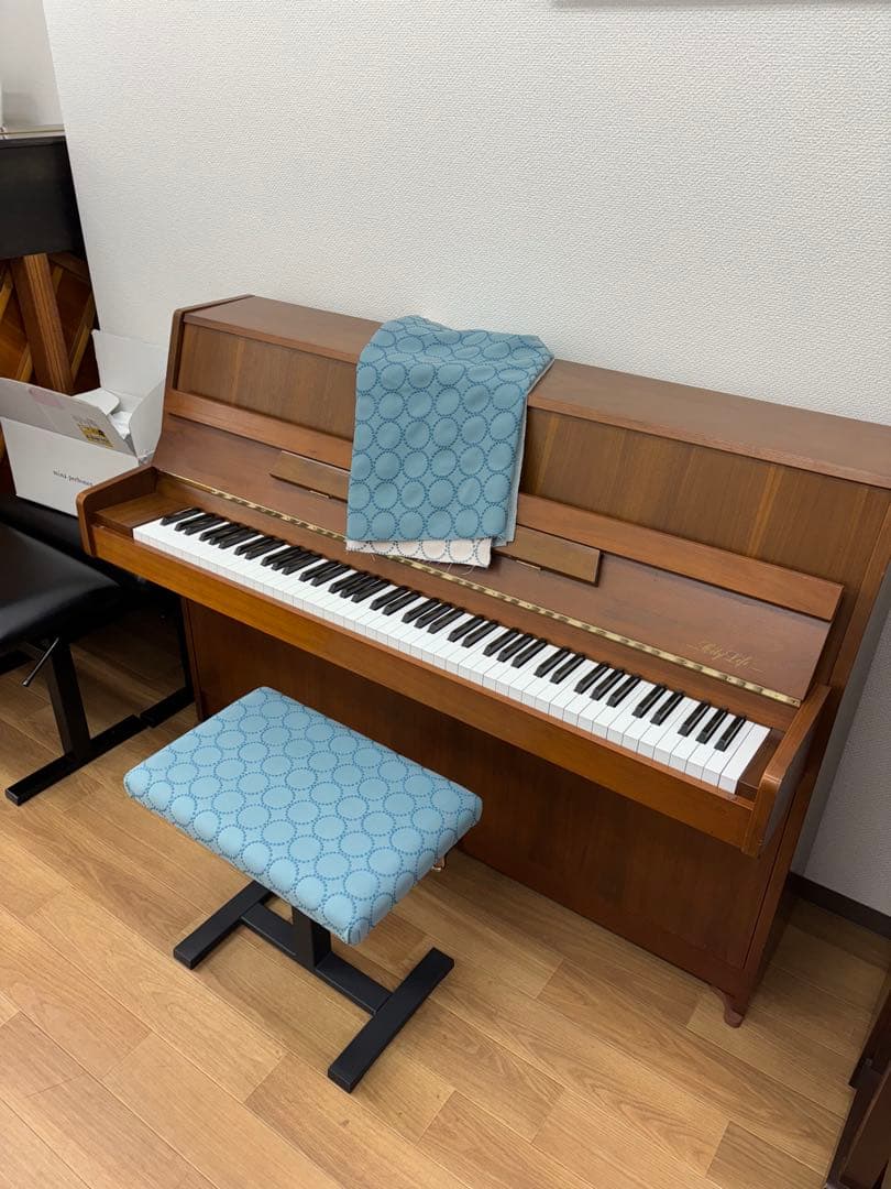 ビブリオポリ-ベートーヴェンの肖像画 アンティークドイツ