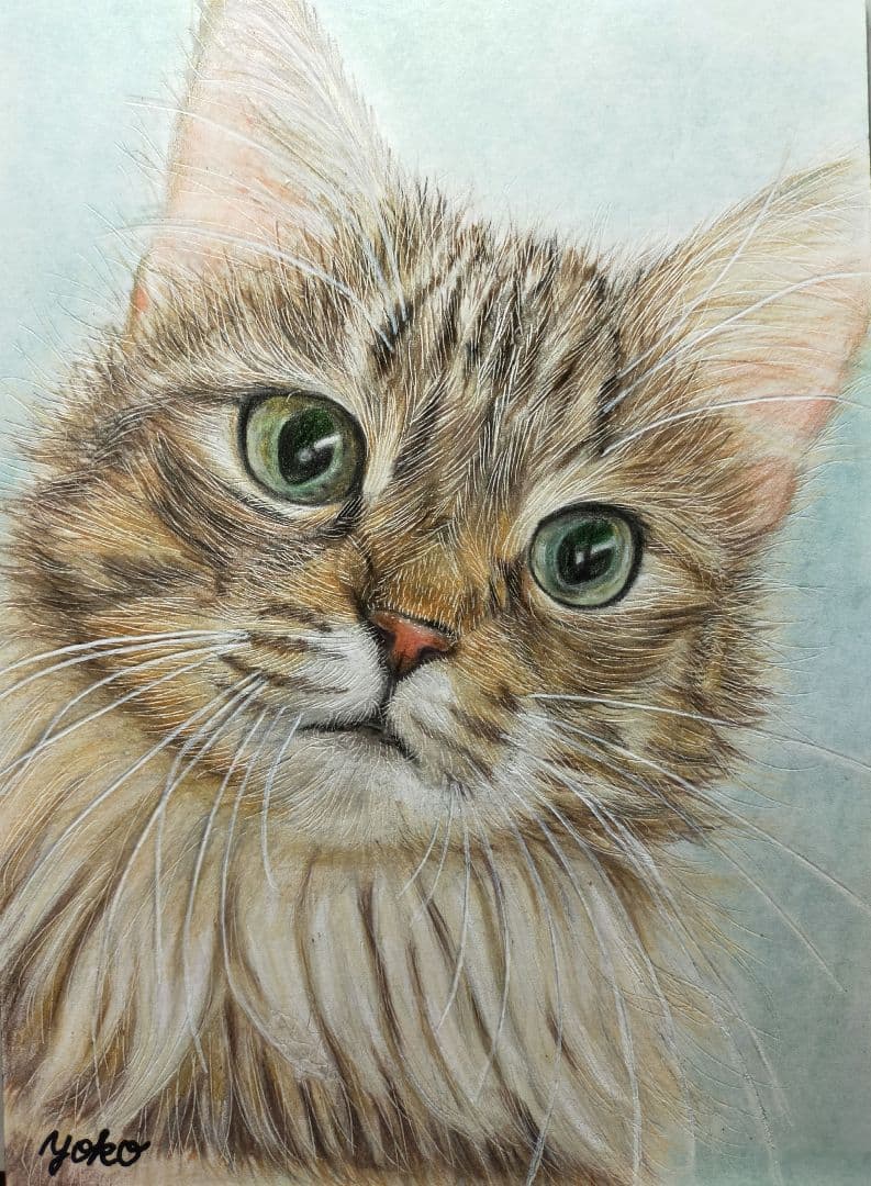 色鉛筆画 パステル画 猫の絵 原画 17 新品】直筆・手描き オリジナル猫