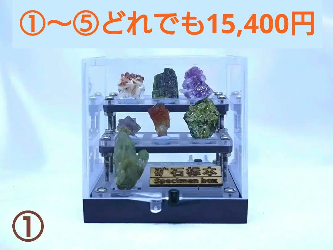 ビオトープ 25L トロ舟＆木枠セット（フラット防鳥網付き）メダカ