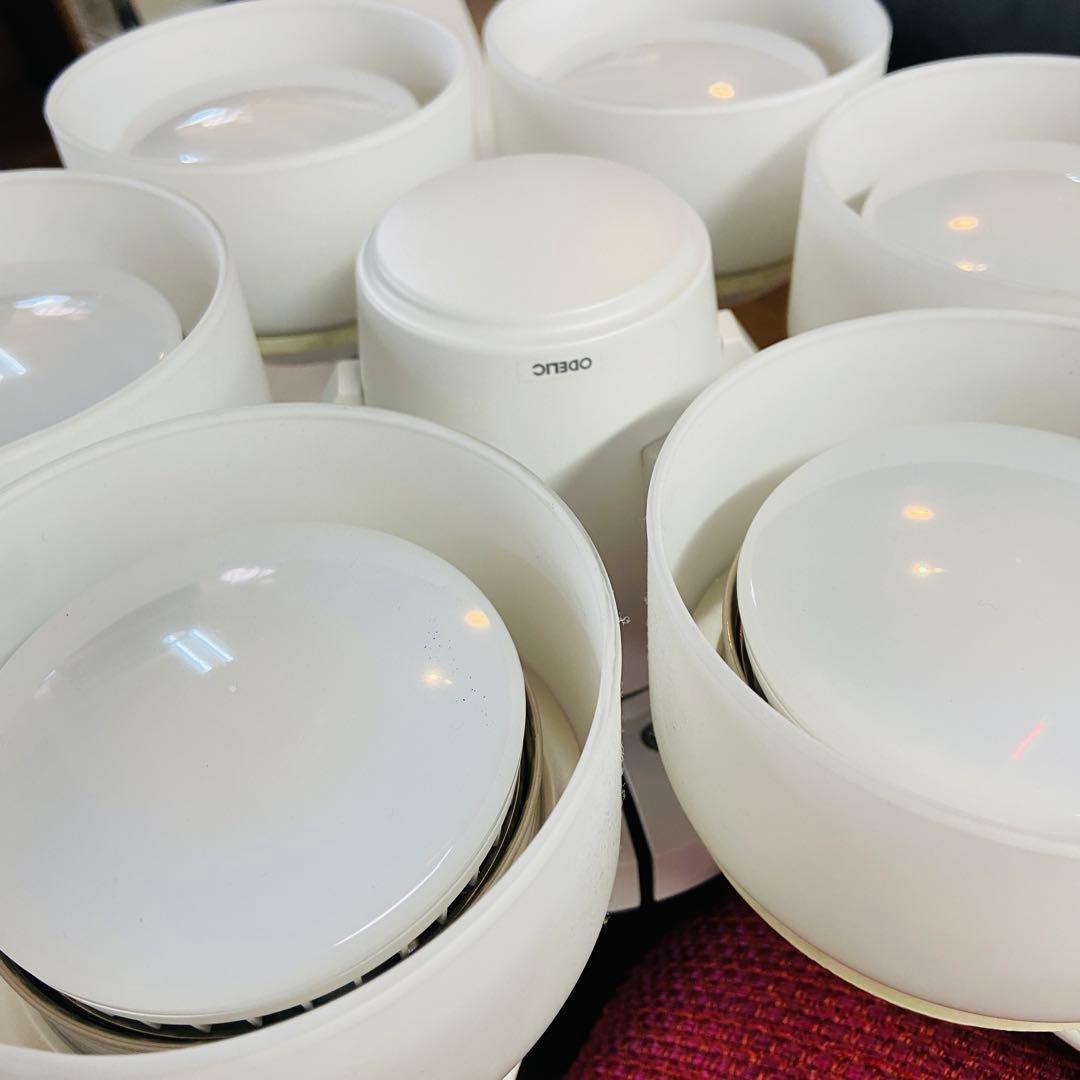 ODELIC オーデリック⭐️シーリングファンライト　2023年製