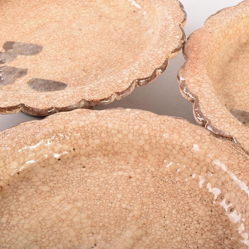 和食器 志野焼 絵志野 松文 雪輪形 菓子皿 五客 在銘 共