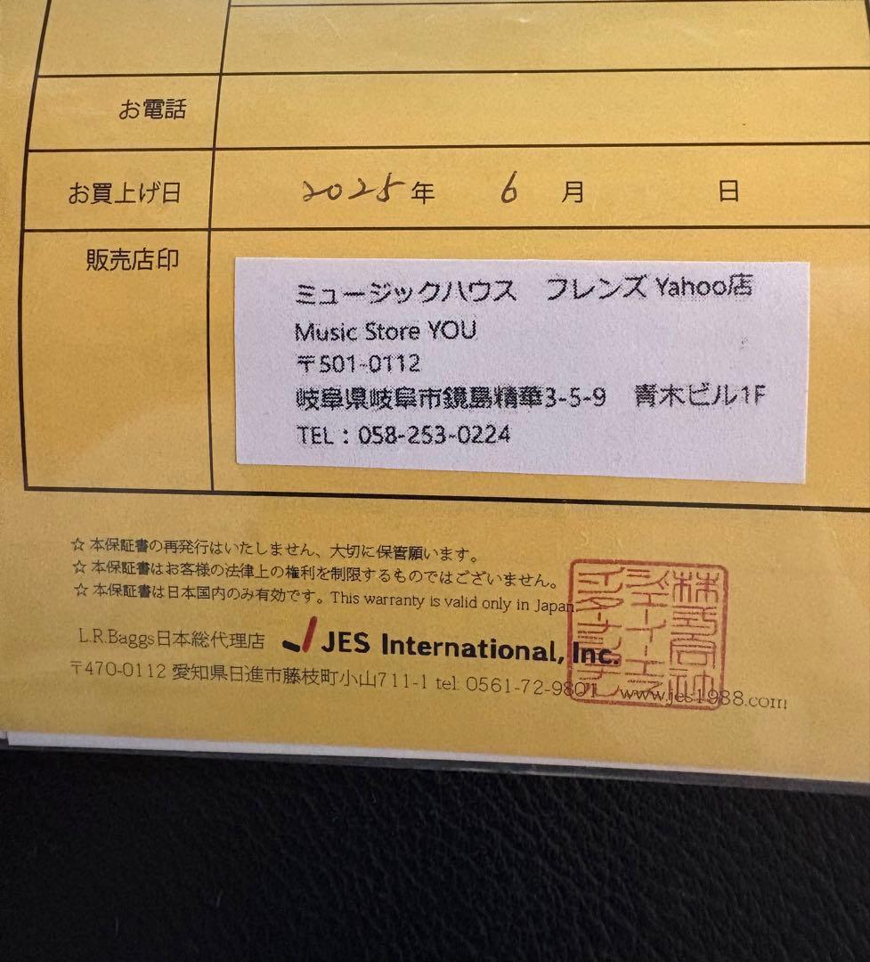 L.R.Baggs ALIGN SERIES REVERB 正規輸入品