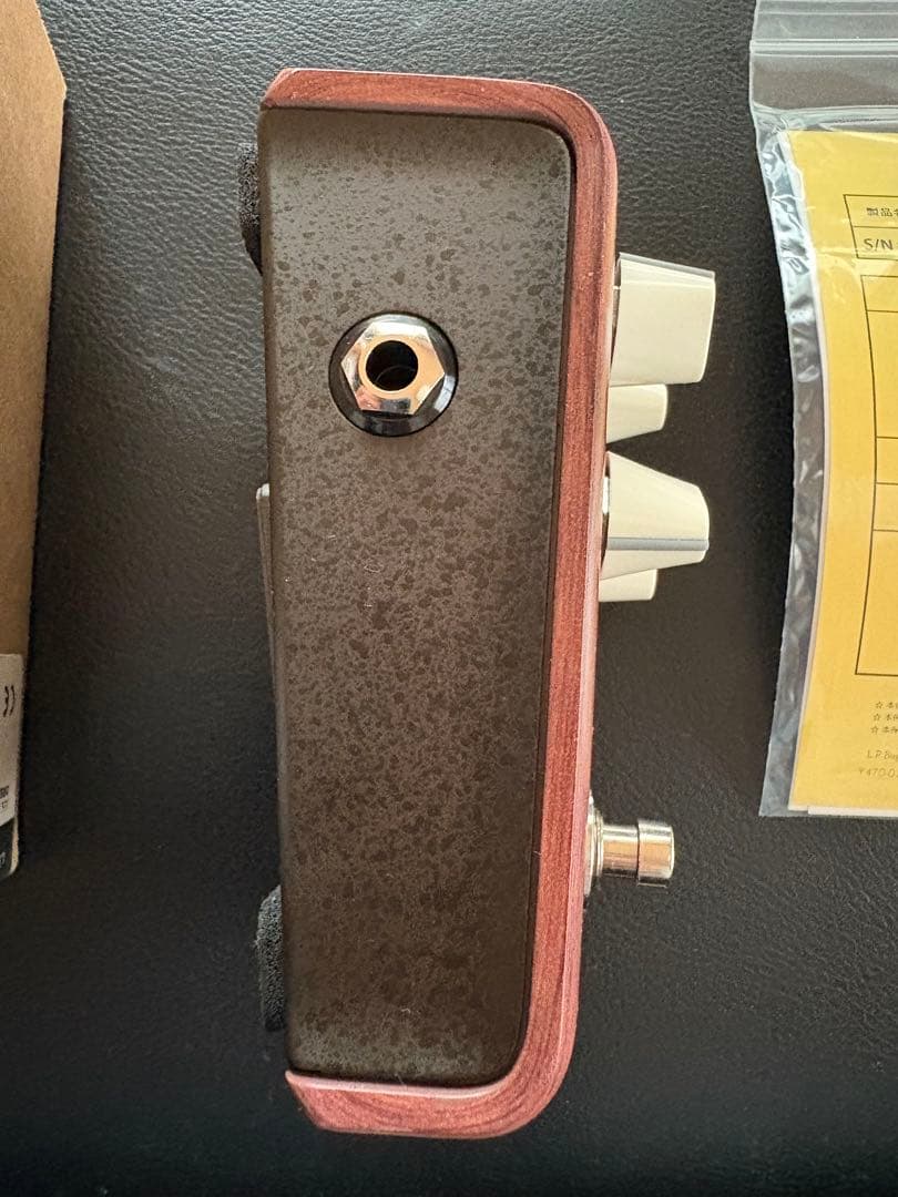 L.R.Baggs ALIGN SERIES REVERB 正規輸入品