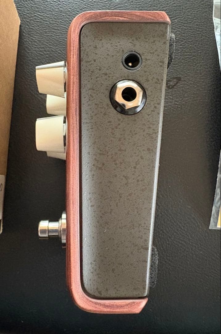 L.R.Baggs ALIGN SERIES REVERB 正規輸入品