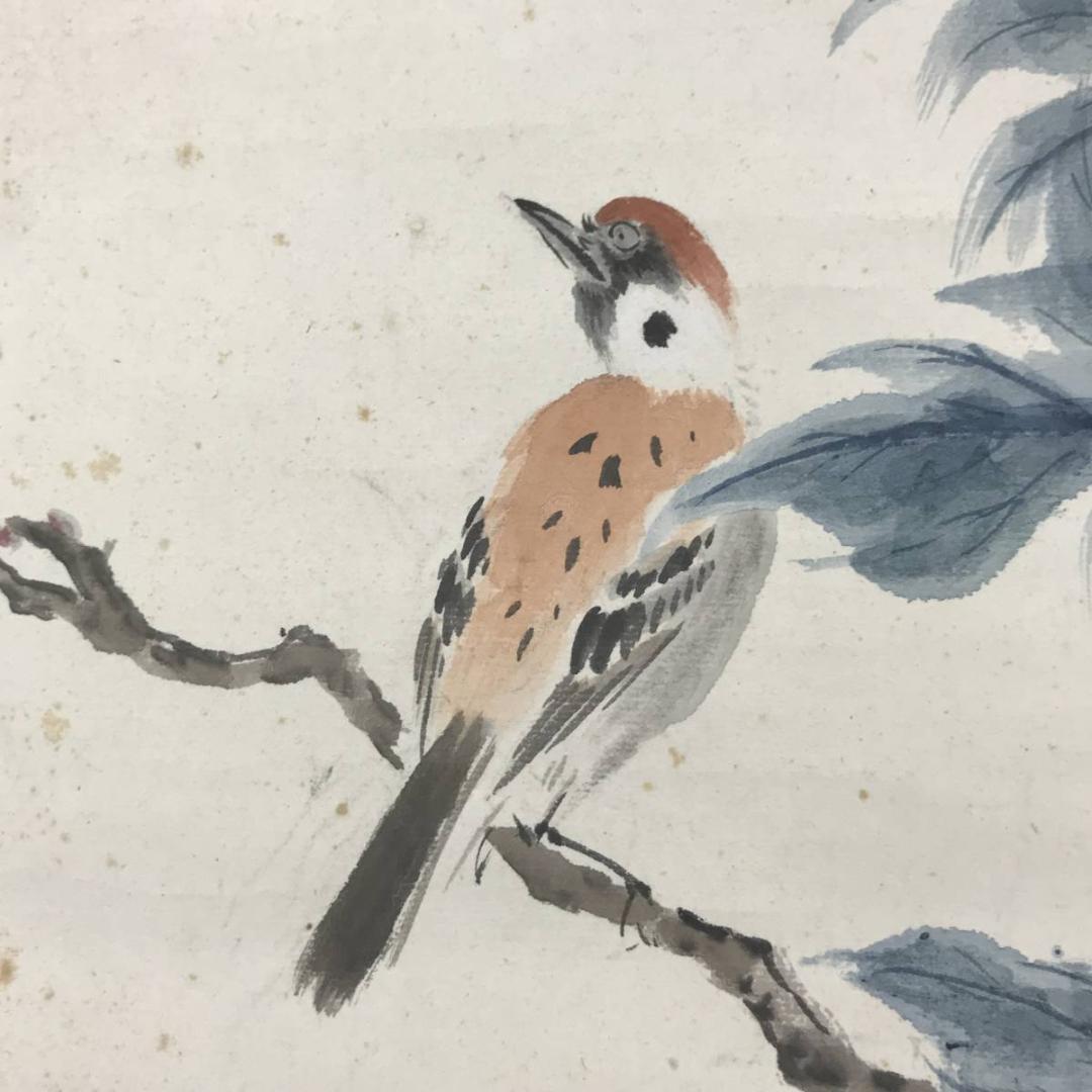 【真作】水田竹圃/牡丹に雀画賛/花鳥図/横物/掛軸/名家伝来/AC-481