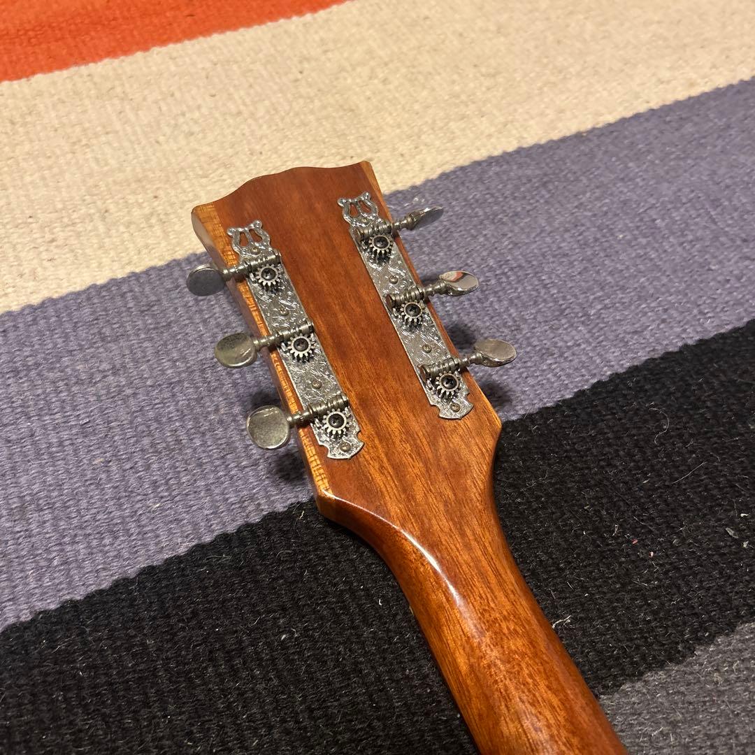 Gibbon ギブソンSGタイプジャパニーズビンテージビザールギター