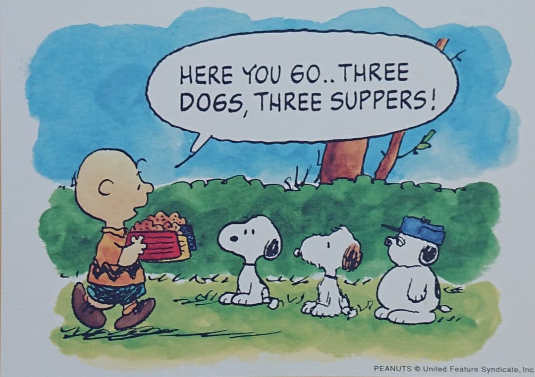 スヌーピータウンショップオリジナル 53rd アニバーサリー 額入りアート 食事