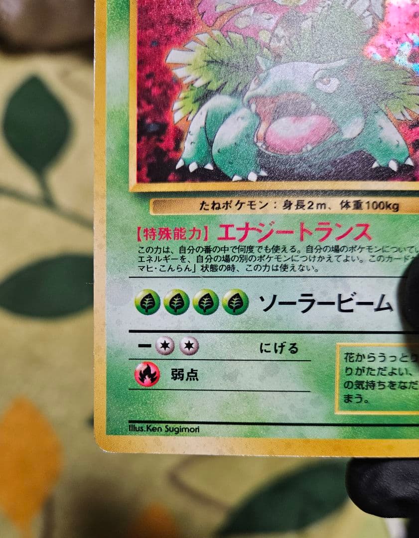 旧裏★フシギバナ ポケモンカードイントロパック キラ