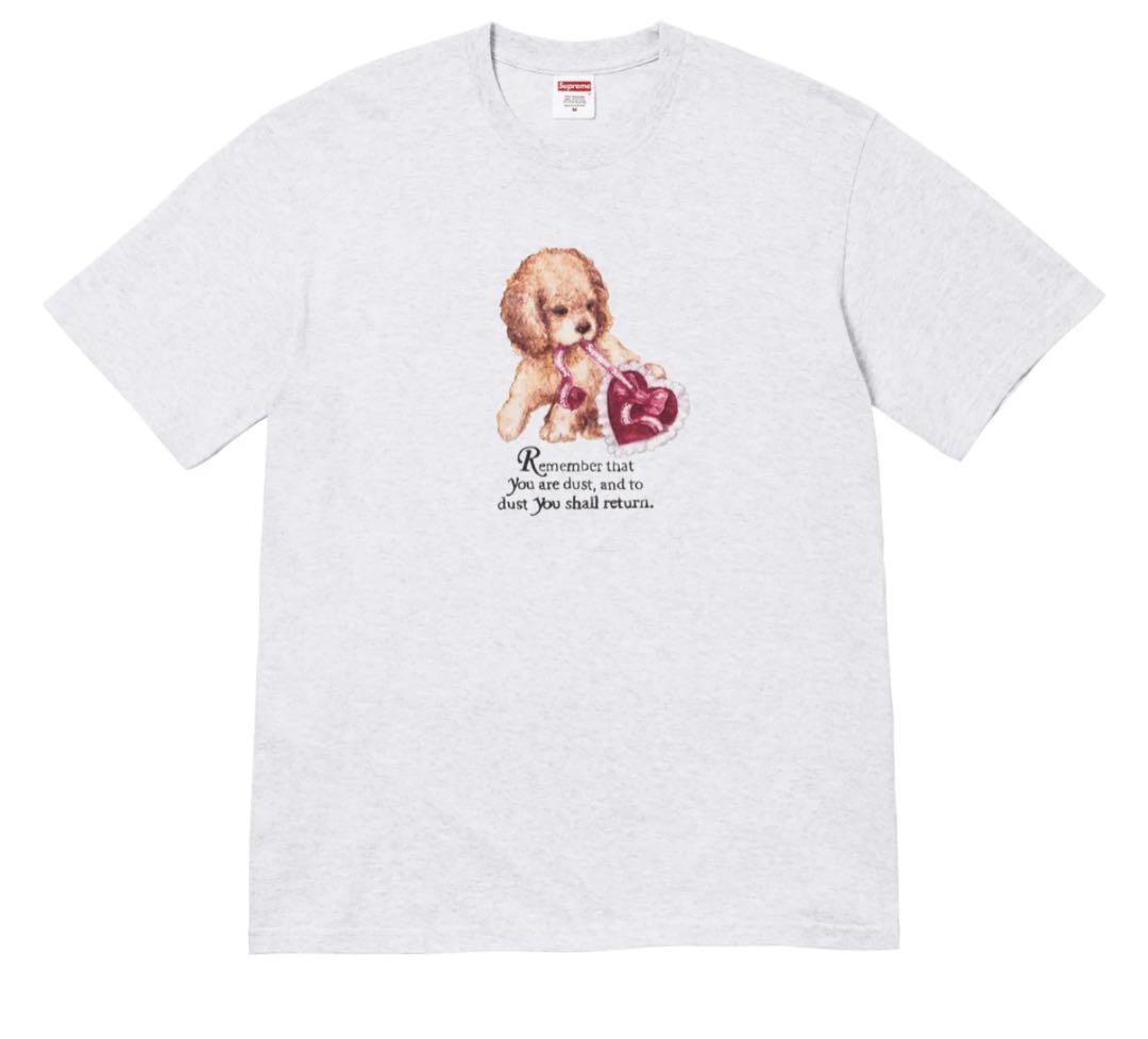 supreme Dust Tee Mサイズ - メルカリ