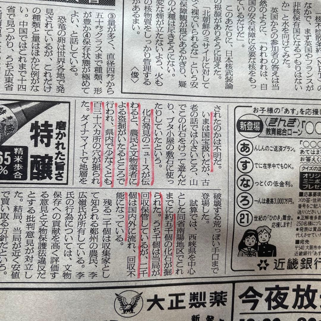 恐竜　化石　卵　たまご　1994年