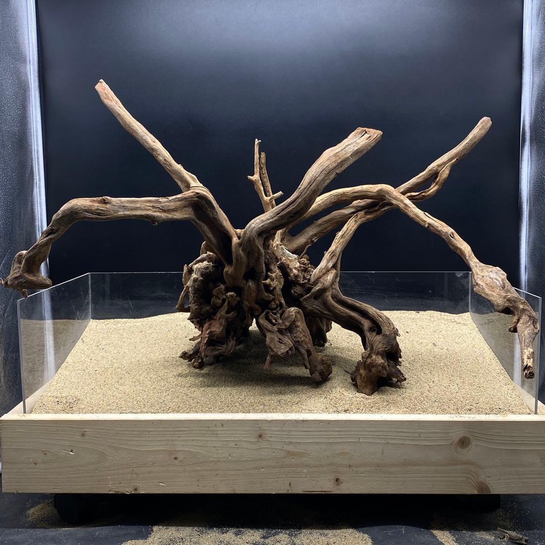 MSRW-6625 特大天然流木1点物 スリムウッド アクアリウム