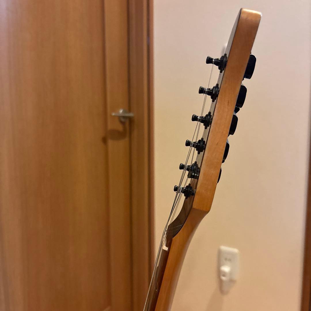 FERNANDES FSR-50 ブラックパーツ仕様 アーム・ストラップ新品弦