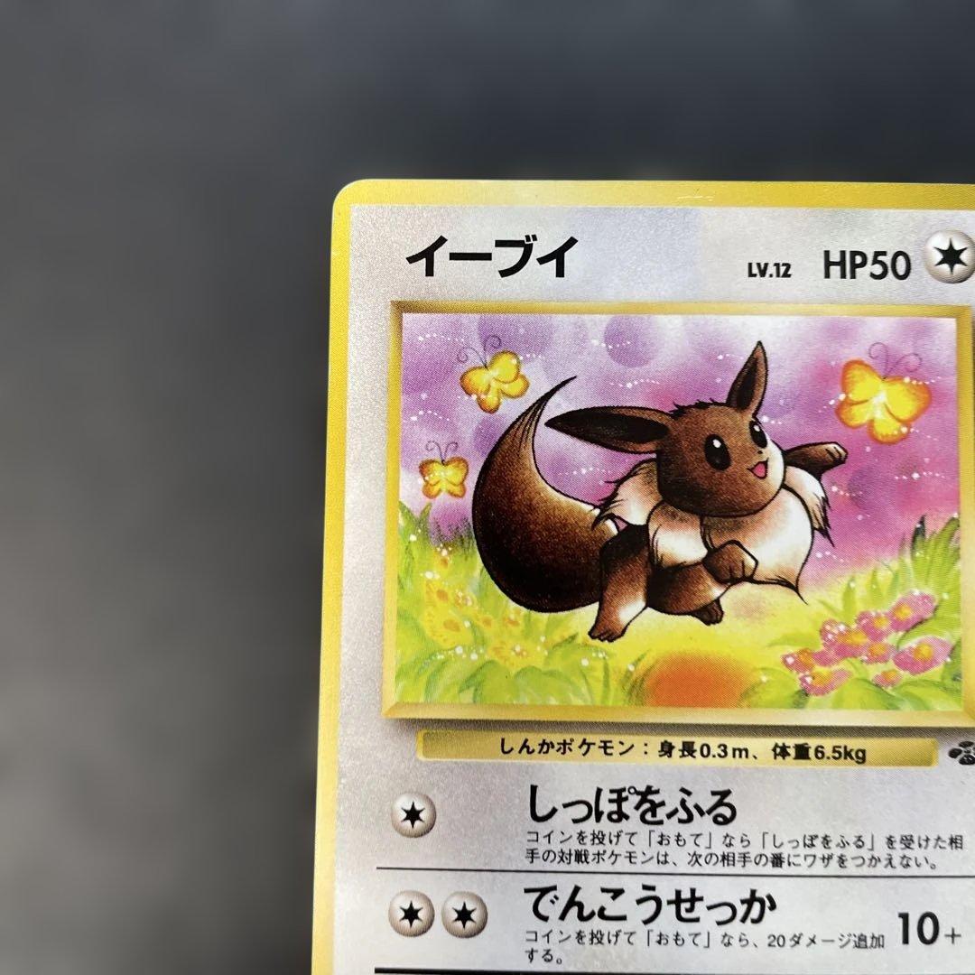 ポケモンカード旧裏 イーブイ 第二弾拡張パック ポケモンカジャングル