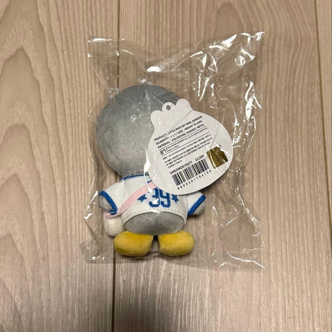 WE LITTLE RIIZE キーリング ウンソク ソンヨンドリ - メルカリ