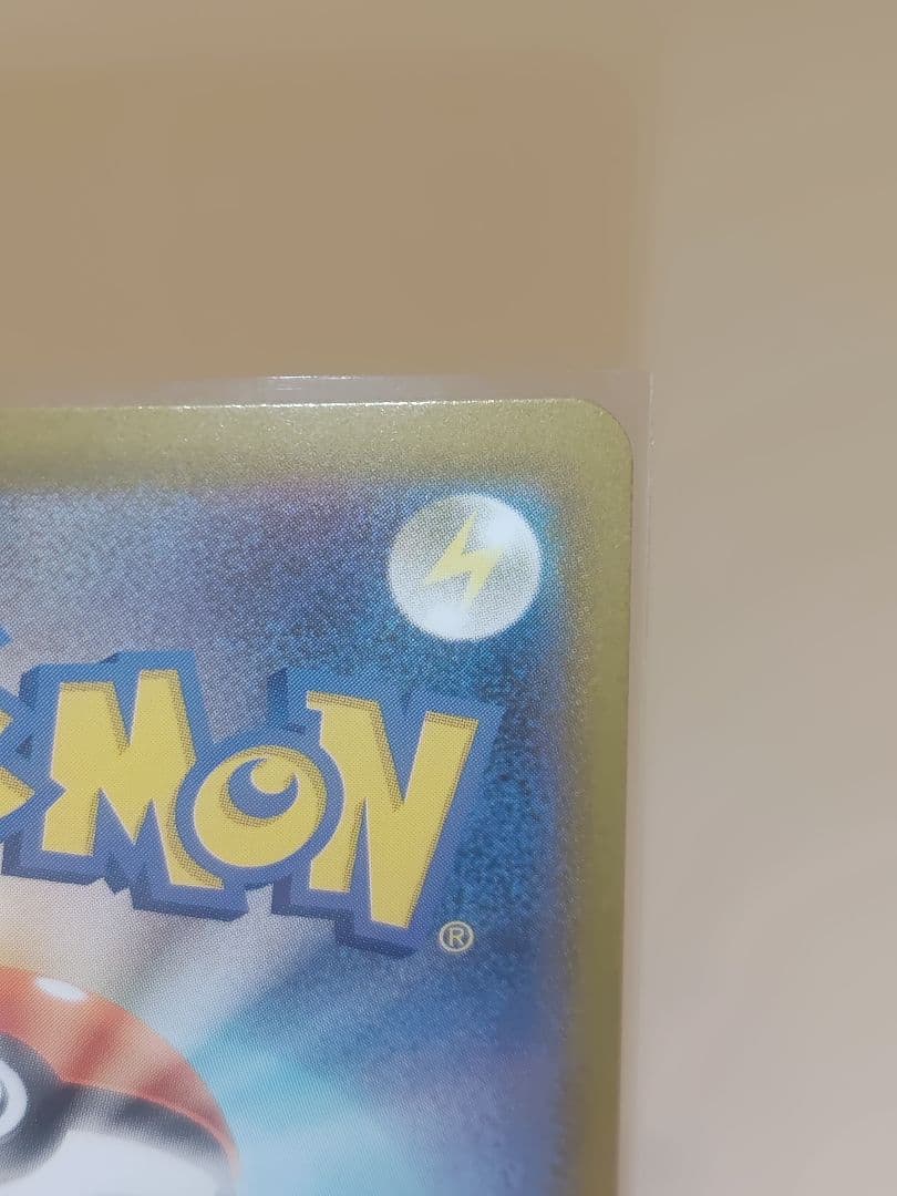 銀*次様 PSA鑑定用メガリザードンXex 110/080