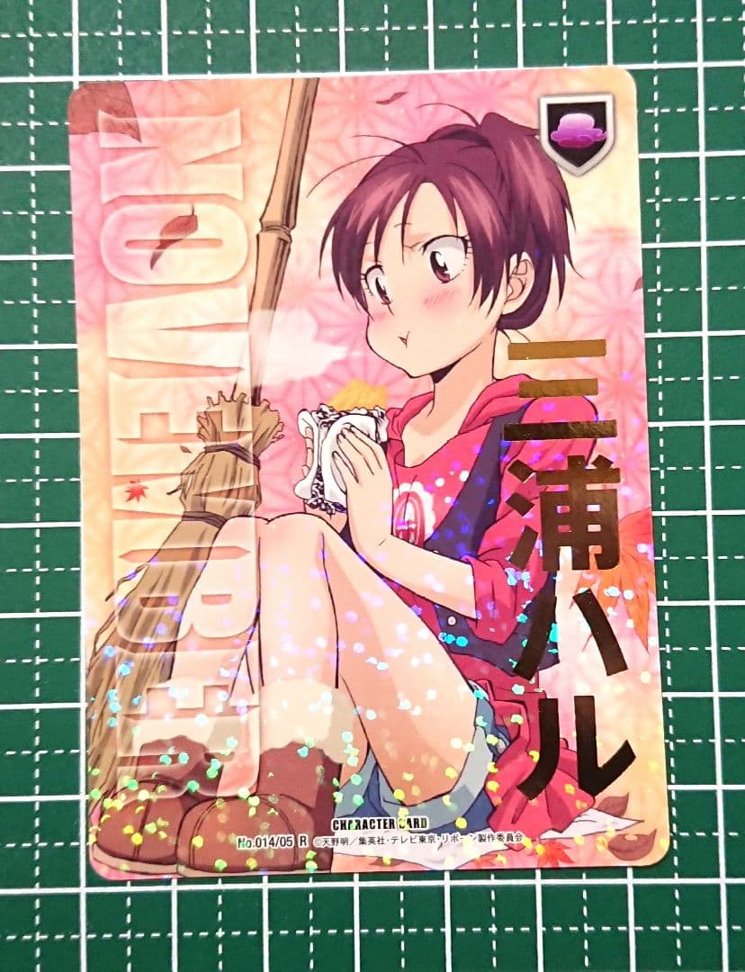 三浦ハル CCG 家庭教師ヒットマンREBORN - メルカリ