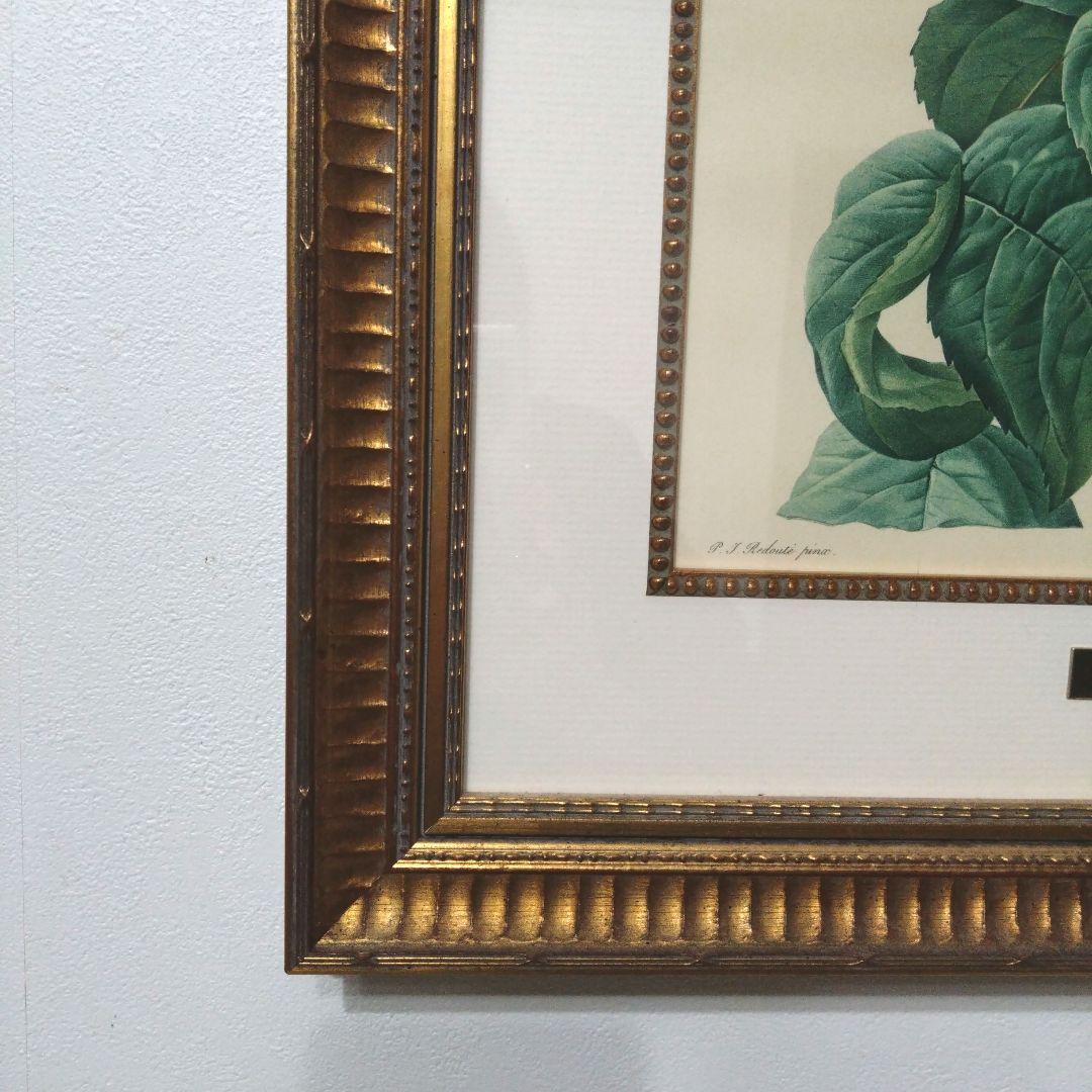 ② ルドゥーテ 絵額 レ ローズ バラ図譜 フォリオ判 ゴールドフレーム