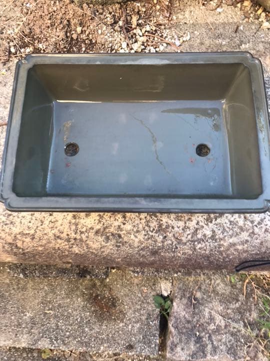 盆栽鉢 時代盆栽鉢水庄園緑泥雲足隅入長方鉢