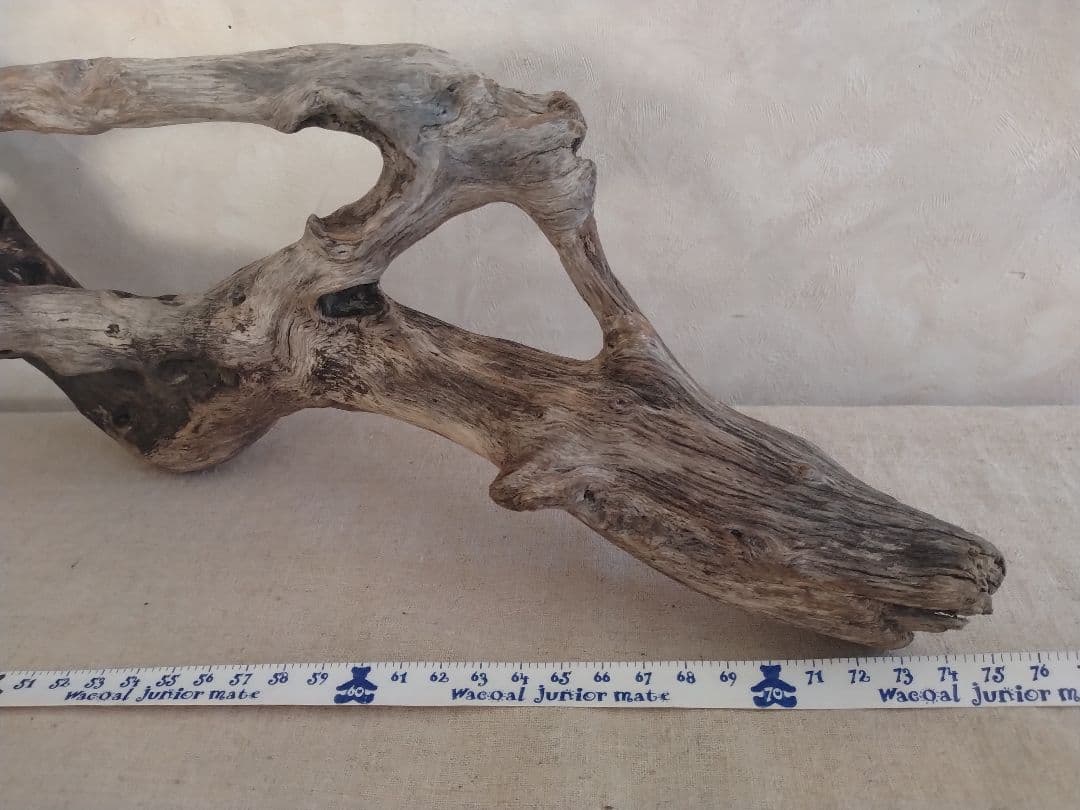 希少】アクアリウム・DIY向け 特大サイズ塊根ブランチウッド流木（約