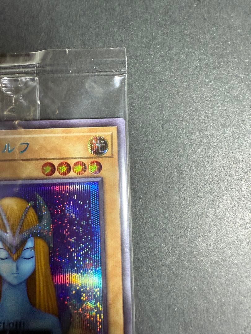 ホーリーエルフ　ブルーシークレット　未開封　ブルシク