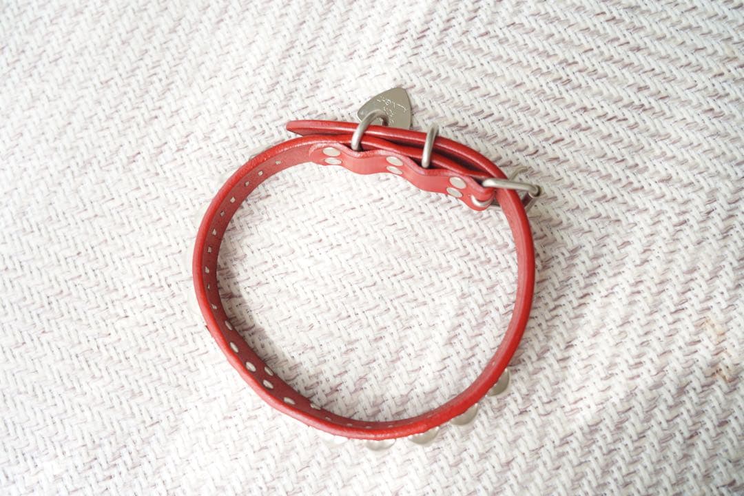 極美品 ヒステリックグラマー スタッズ ドッグカラー レッド