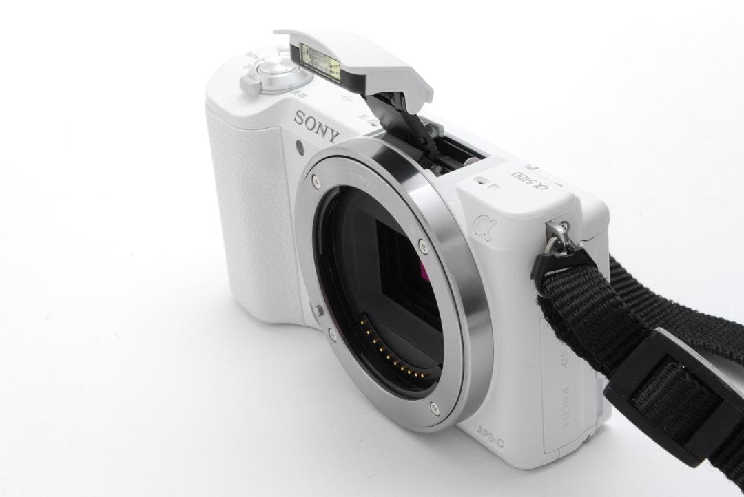 【美品 箱付き】 SONY a5100 16-50mm F6.5-5.6