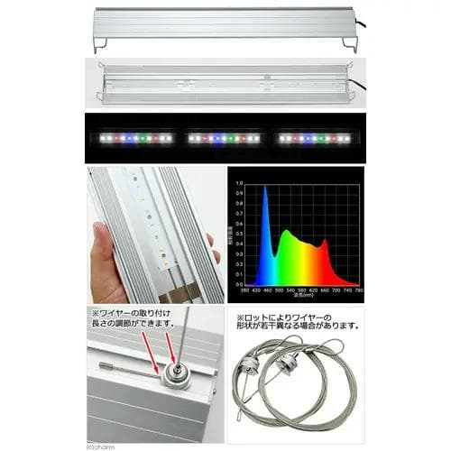 オールガラス60ｃｍ水槽と専用ＬＥＤライトのセット