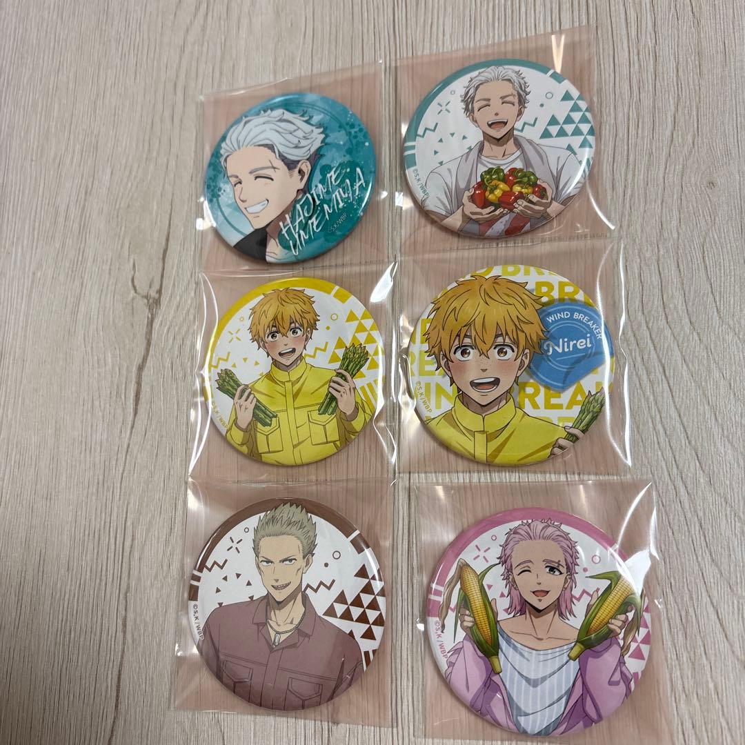 WIND BREAKER トレーディング缶バッジ お野菜収穫ver.楡井