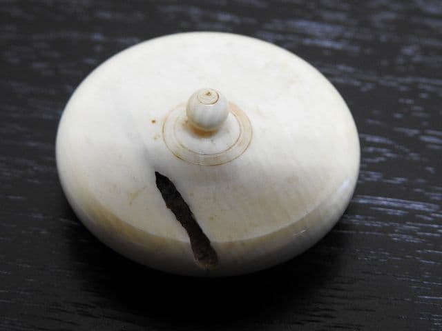 志戸呂焼？茶入 保存箱 MA141