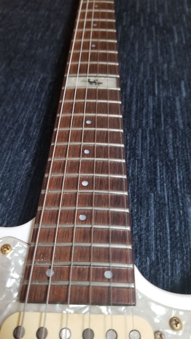 FERNANDES LA-80kk L´Arc-En-Ciel.Gotoh ペグ