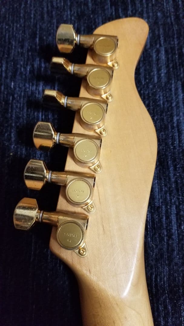 FERNANDES LA-80kk L´Arc-En-Ciel.Gotoh ペグ