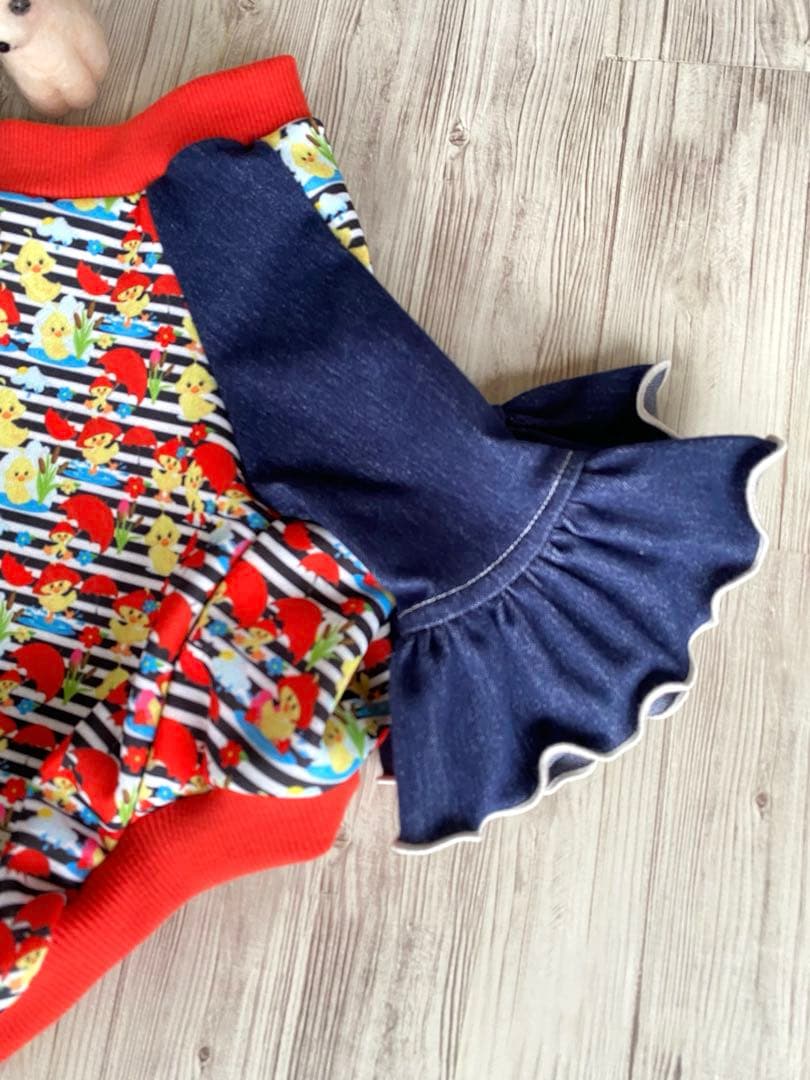 犬服 ラグラン(L) ꒡̈⃝Lily꒡̈⃝ハンドメイド