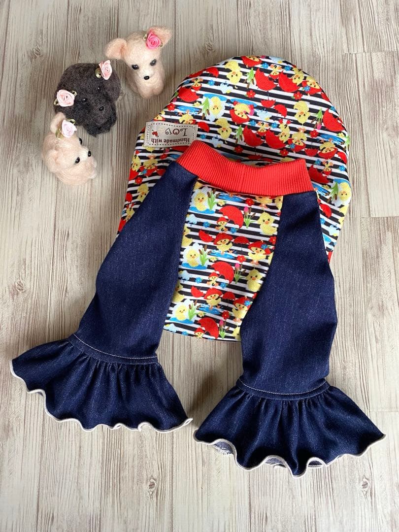 犬服 ラグラン(L) ꒡̈⃝Lily꒡̈⃝ハンドメイド