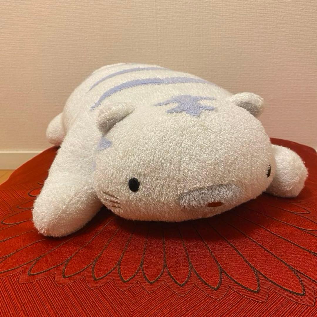 fricca フリッカ まつもと ましゅまろせらぴ うさぎ・ホワイトタイガー