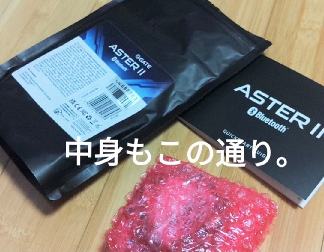 GATE ASTER Ⅱ Bluetooth ver2メカボックス 後方配線