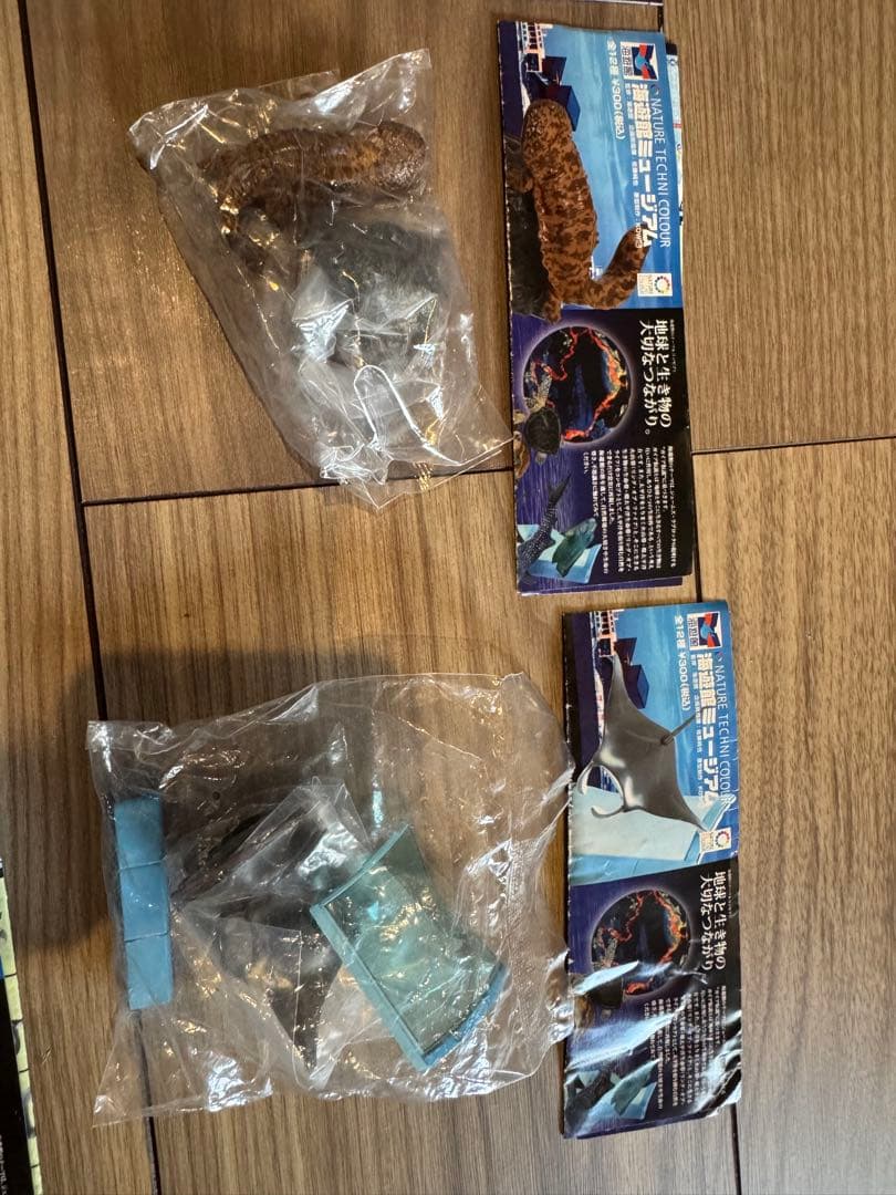 海遊館　ネイチャーテクニカラー　未開封　11種類