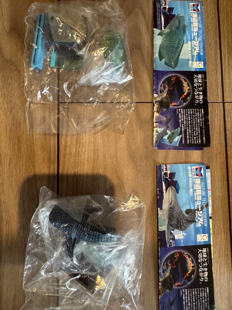 海遊館　ネイチャーテクニカラー　未開封　11種類