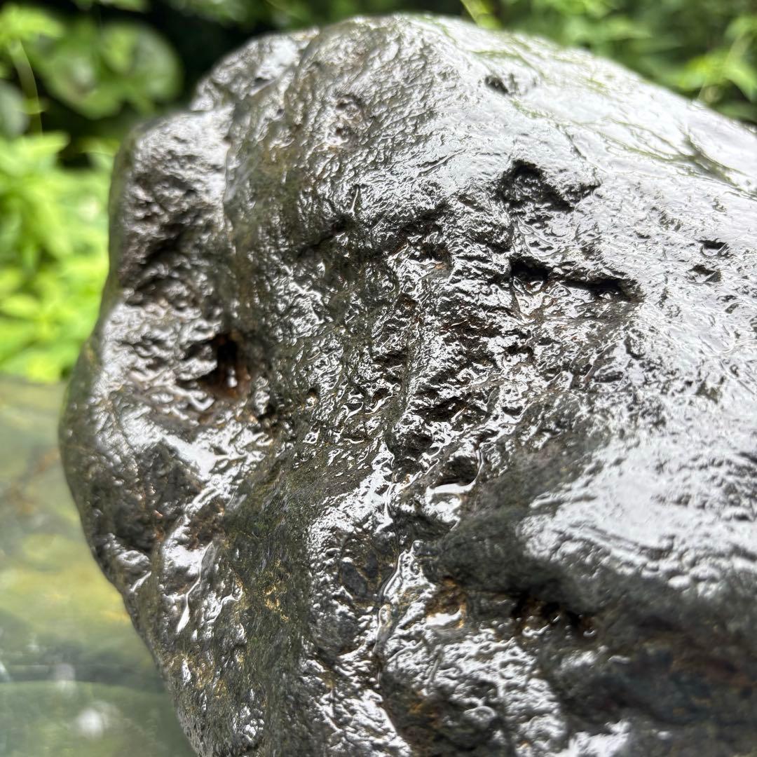 希少 大型 八海山石22.1kg ウブ石】アクアリウム 親石 ジャグレ 水無川