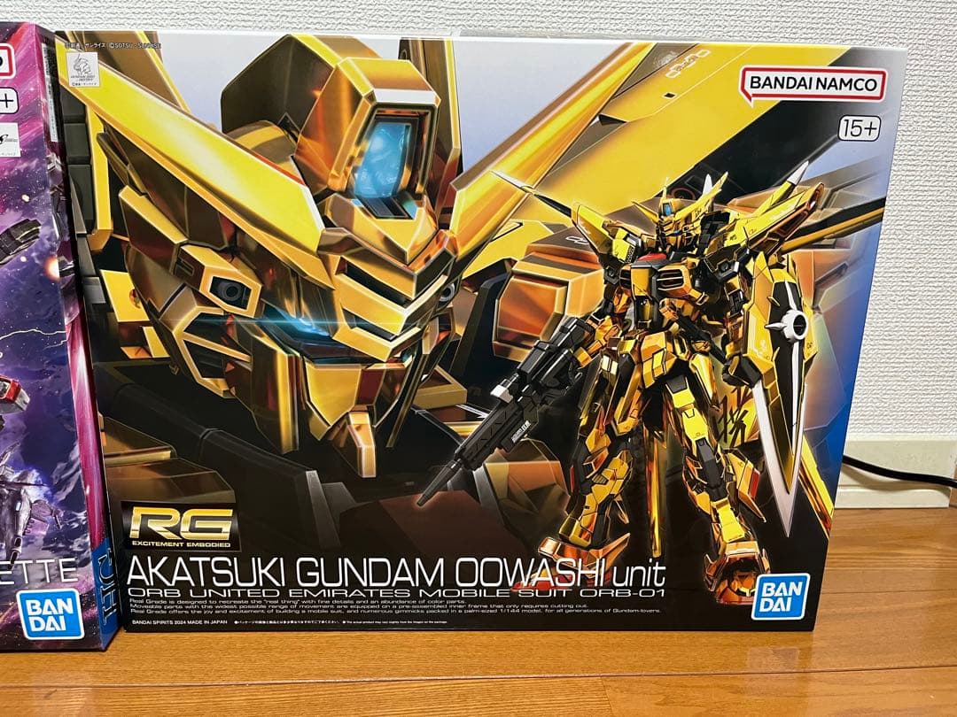 RGアカツキ　HGディスティニーSPEC2 ゼウスシルエット　セット