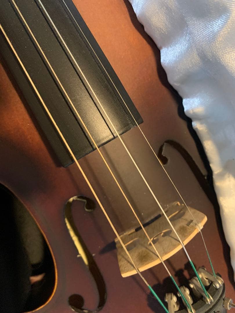 J.W.Eastman ウィステリア　バイオリンケース&バイオリンセット