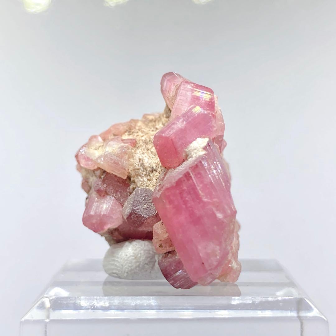 G*G様 『ルベライト』 トルマリン 原石 鉱物標本 天然石 831