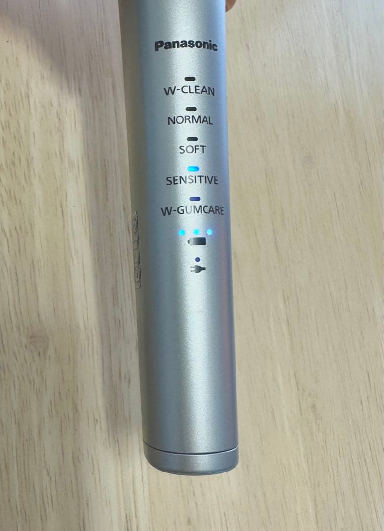 【☆美品】Panasonic ドルツ EW-DP57-S 電動歯ブラシ