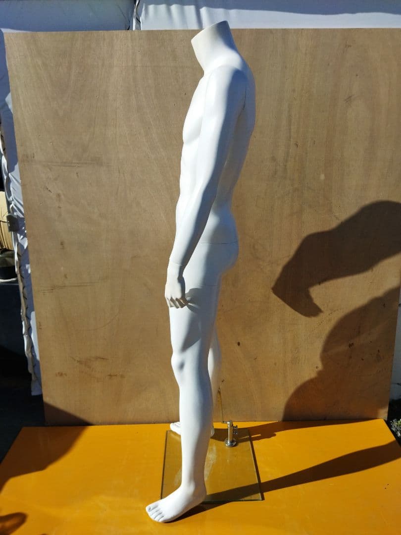 男性用マネキン トルソー 約50×43×H170cm 人形 等身大