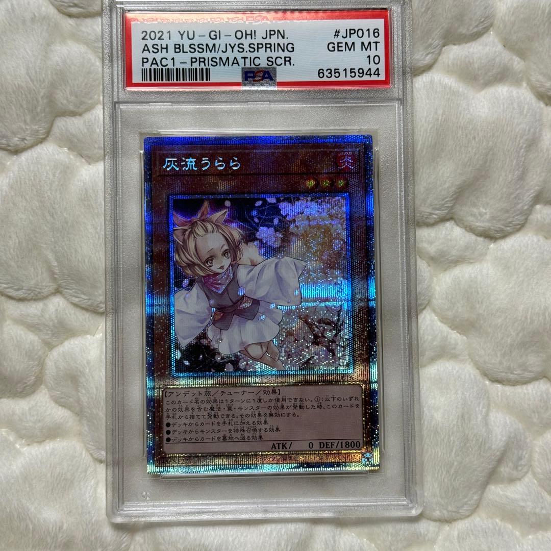 灰流うらら　プリシク　PSA10