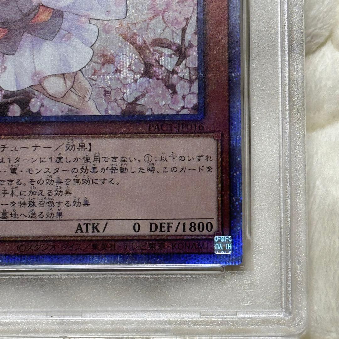 灰流うらら　プリシク　PSA10