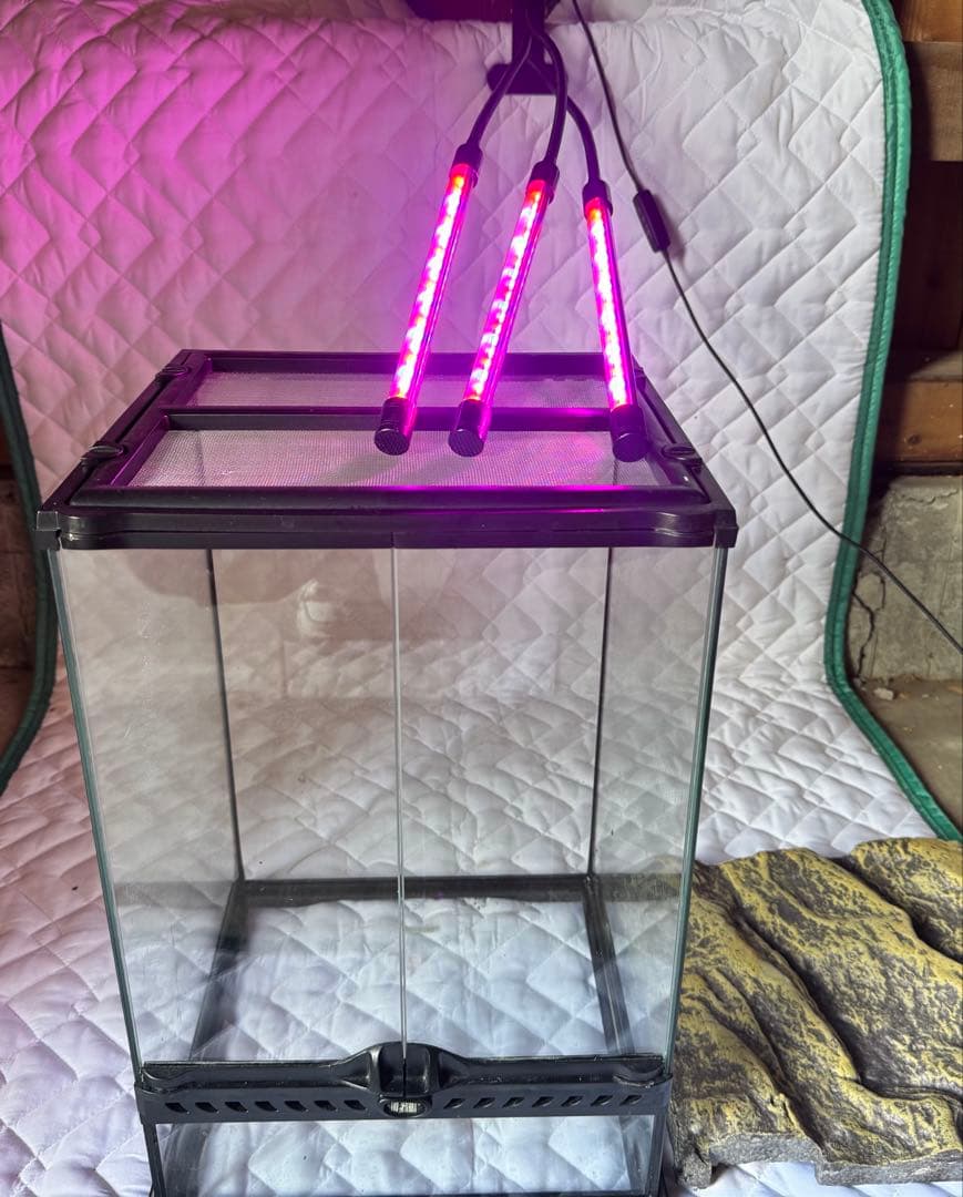 手作りガラス温室風テラリウムケース