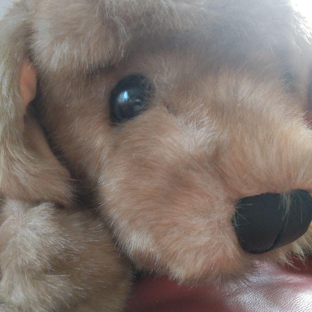 三英　ゴールデンレトリバー　レトロ　特大　1m以上　実物大