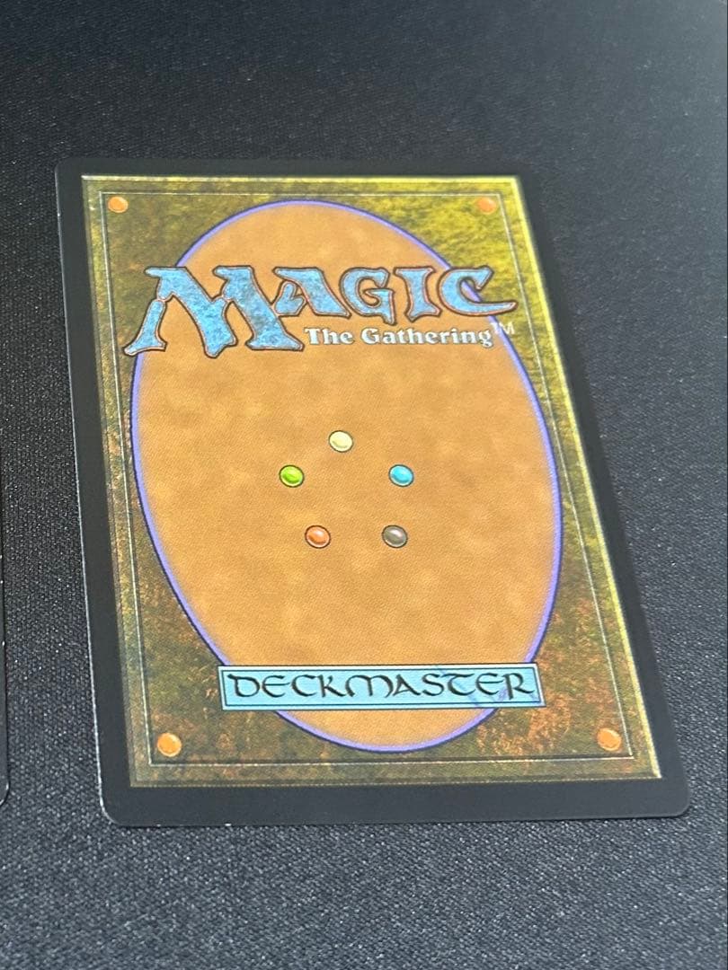 乾燥台地_FOIL_EXP - WWW.AQUAVENUS.JP